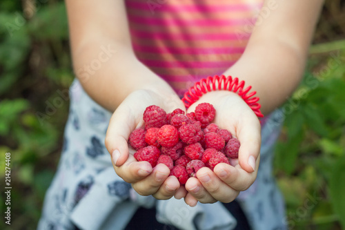A handful of raspberries in the palms of a little girl