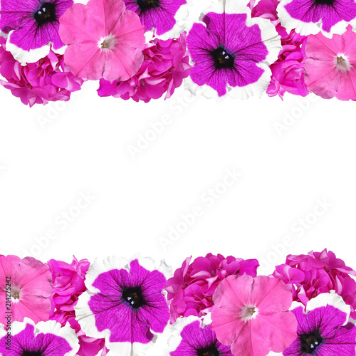 Fototapeta Naklejka Na Ścianę i Meble -  Beautiful floral background of petunias and pelargoniums 