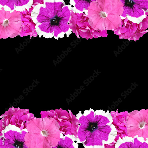 Fototapeta Naklejka Na Ścianę i Meble -  Beautiful floral background of petunias and pelargoniums 