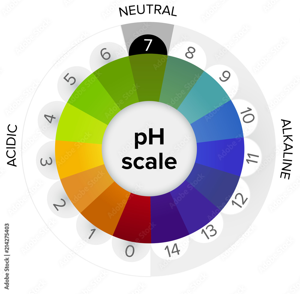 Misurazione della scala pH, manometro, infografica. Tutti i passaggi da  acido a neutrale ad alcalino. Il pH è una scala di misura dell'acidità o  della basicità di una soluzione acquosa Stock Vector