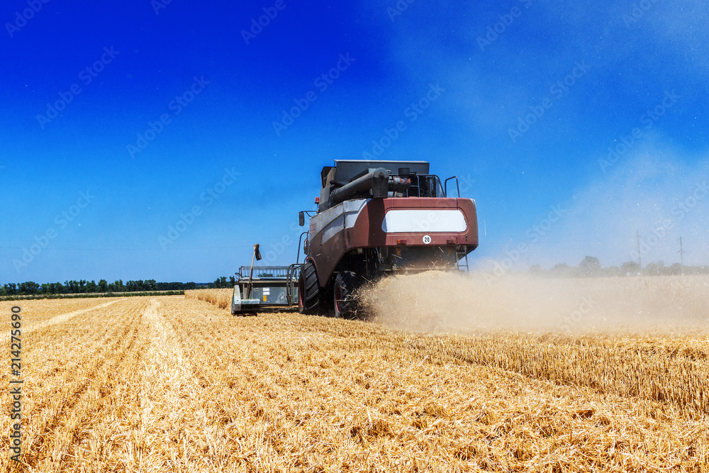 Obraz premium Harvester machine to harvest wheat field working. Combine harvester agriculture machine harvesting golden ripe wheat field. Agriculture