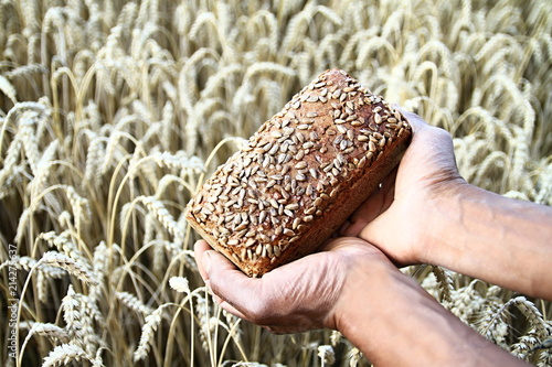 bread with wheat background