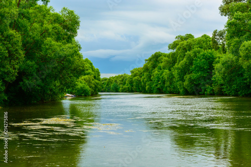 Minimalistic natural landscape of green fresh in the river with steep banks and dense forest