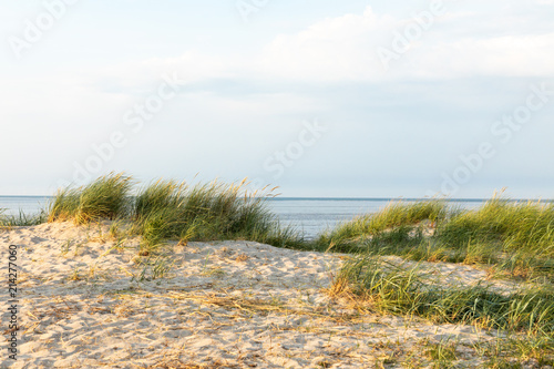 dunes at north sea germany sunset