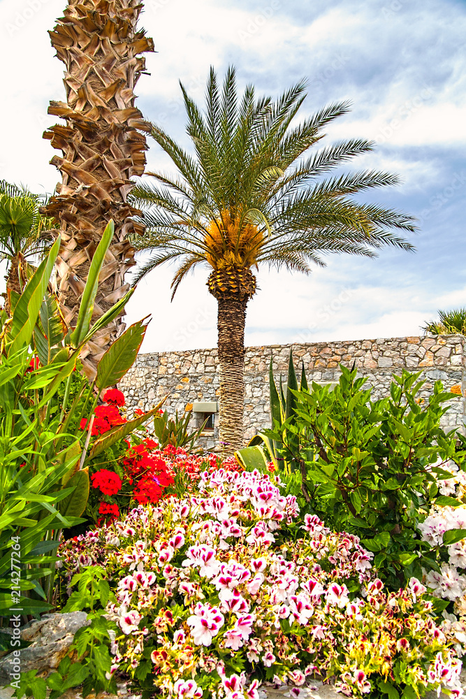 Flower gardens and avenues from plants of the Mediterranean
