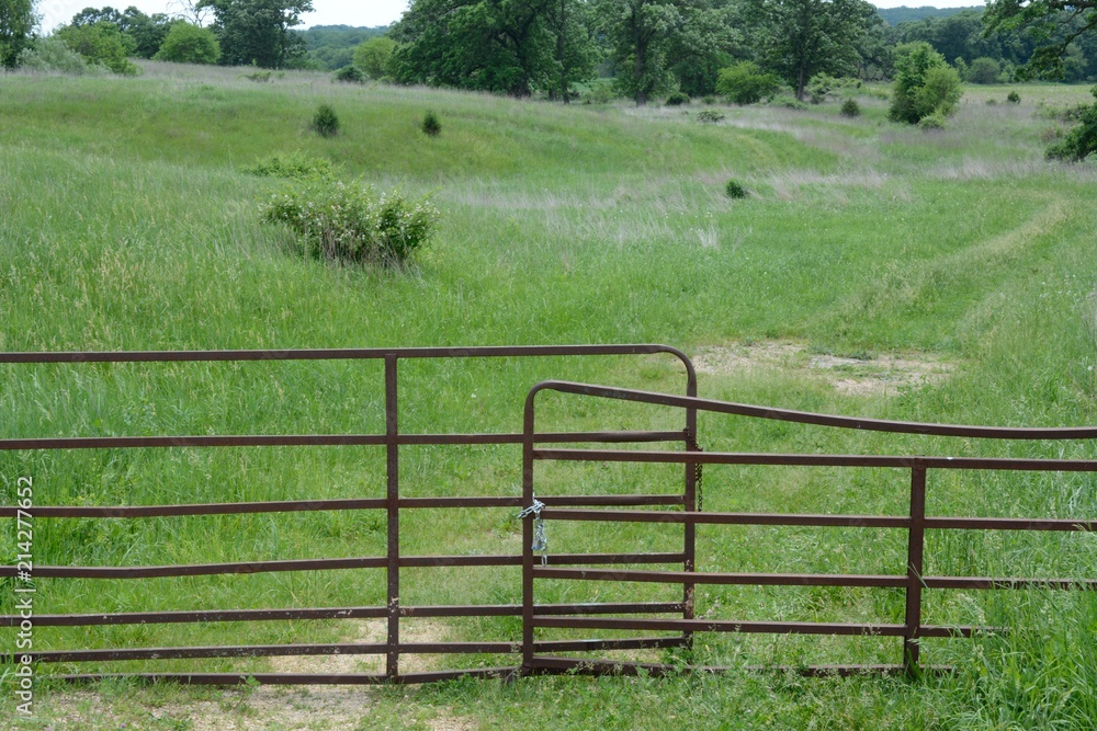 Fototapeta premium Locked rusty gate