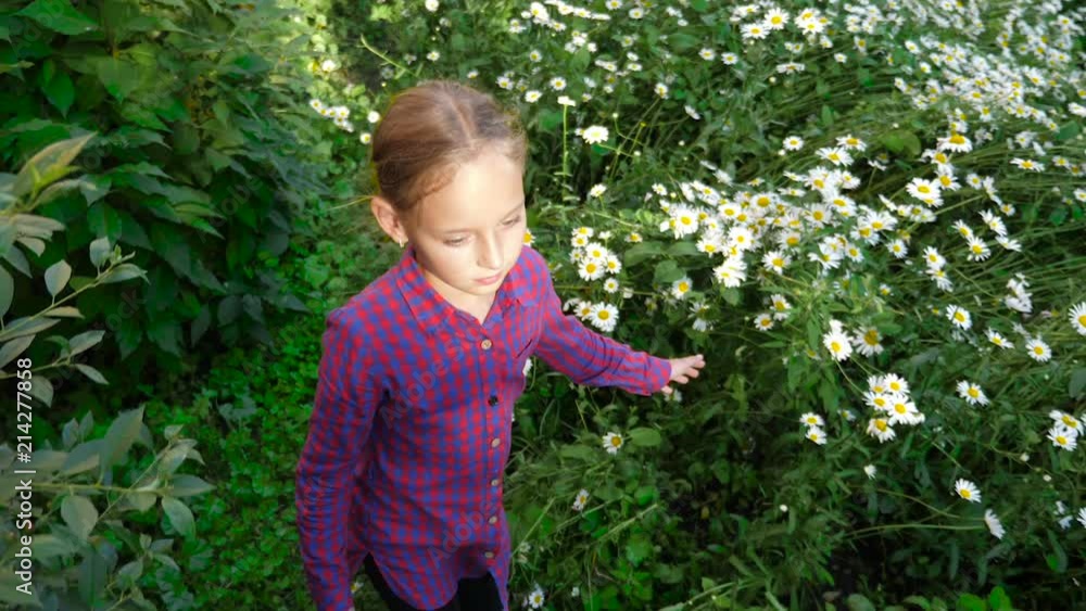 Cute teenager girl walking and touching on camomile field top view top-down Cute teenager girl walking and touching on camomile field top view top-down