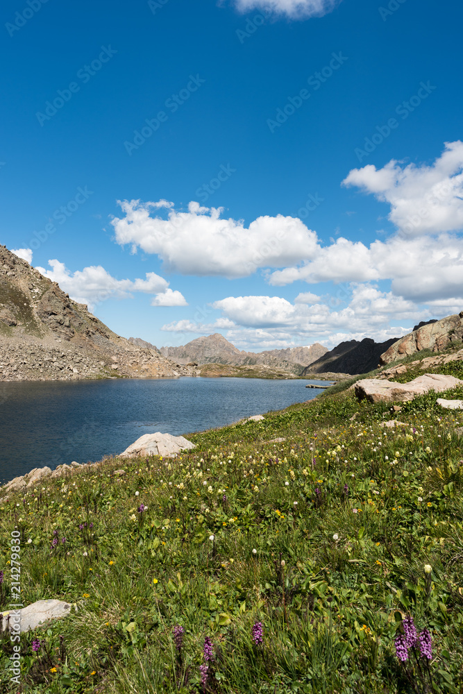 Lost Man Lake 12,482 feet is an alpine lake that is located along the Continental Divide.  Lost Man Lake is located along the Continental Divide with alpine flowers in mid Summer. 