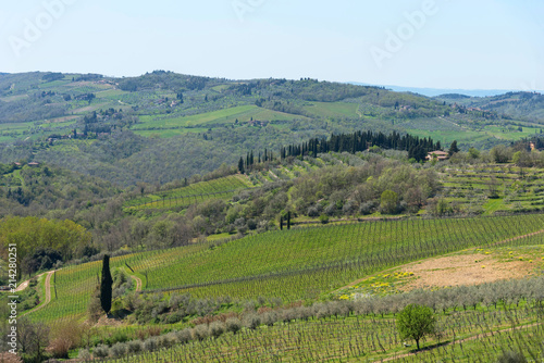 Panoramic view of countryside and vineyards in the Chianti region, Tuscany, Italy.