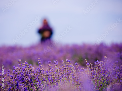 Fototapeta Naklejka Na Ścianę i Meble -  Soft focus flowers, beautiful lavender flowers blooming. Girl with a bouquet in the background in the defocus.