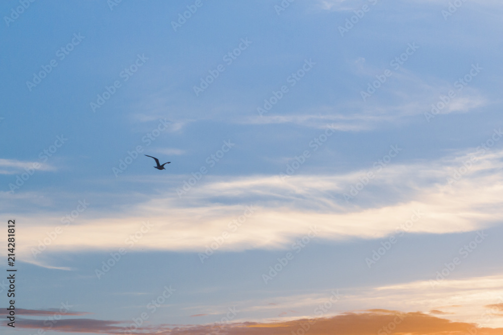 Beautiful summer sunset with clouds over the sea