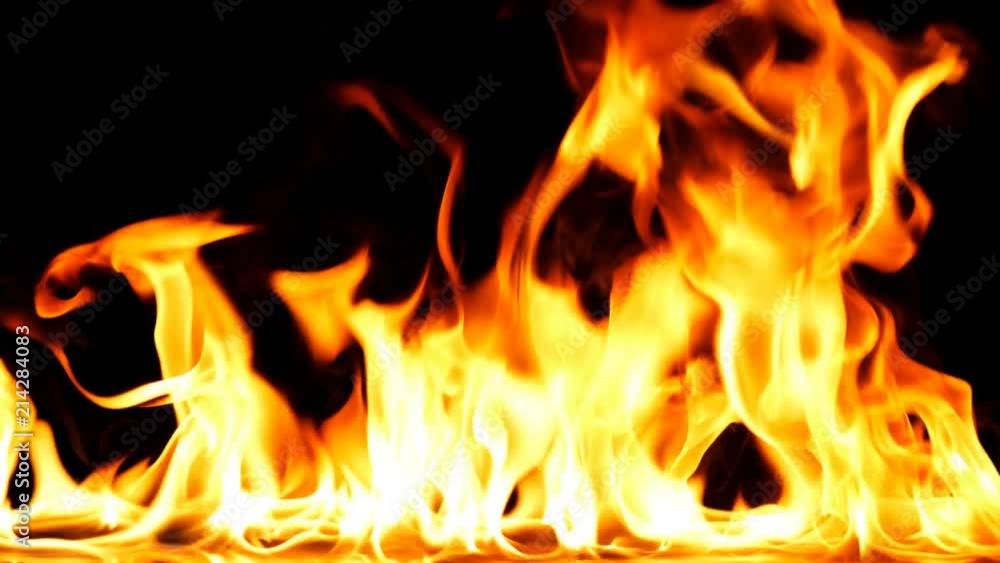 Fire Flames Igniting And Burning - Slow Motion. A line of real flames ignite on a black background. Real fire. Transparent background. PNG + Alpha Fire Flames Igniting And Burning - Slow Motion. A line of real flames ignite on a black background. Real fire. Transparent background. PNG + Alpha