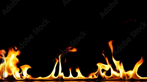 Fire Flames Igniting And Burning - Slow Motion. A line of real flames ignite on a black background. Real fire. Transparent background. PNG + Alpha