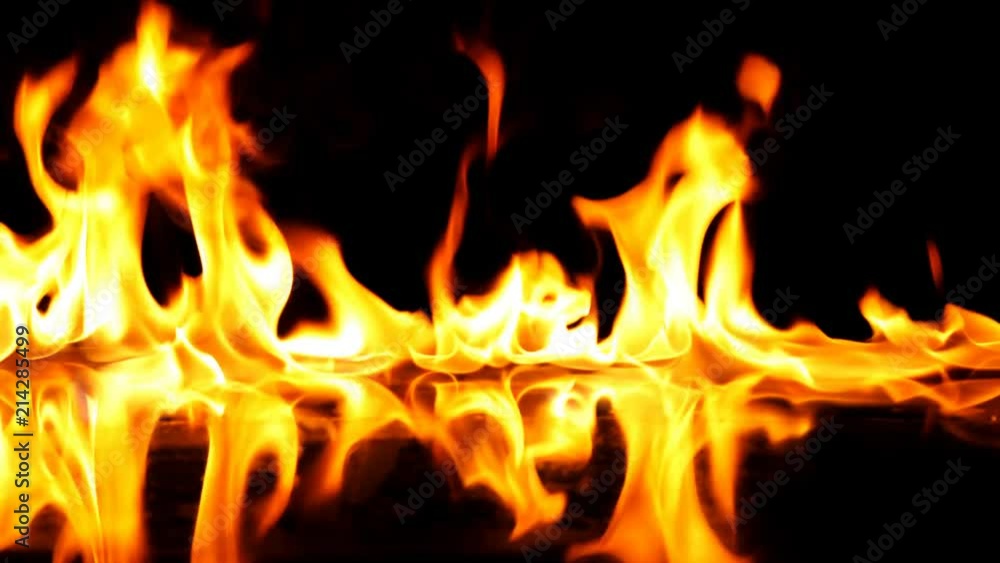 Fire Flames Igniting And Burning - Slow Motion. A line of real flames ignite on a black background. Real fire. Transparent background. PNG + Alpha Fire Flames Igniting And Burning - Slow Motion. A line of real flames ignite on a black background. Real fire. Transparent background. PNG + Alpha