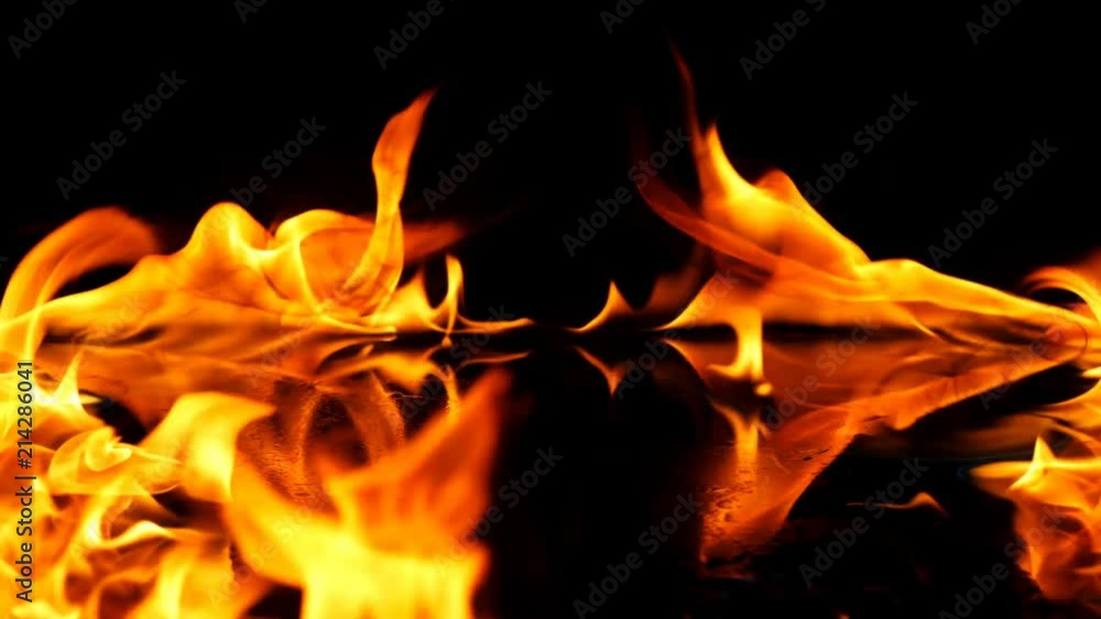 Fire Flames Igniting And Burning - Slow Motion. A line of real flames ignite on a black background. Real fire. Transparent background. PNG + Alpha Fire Flames Igniting And Burning - Slow Motion. A line of real flames ignite on a black background. Real fire. Transparent background. PNG + Alpha