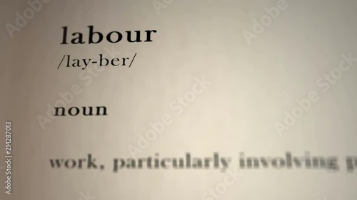 Definition: Labour