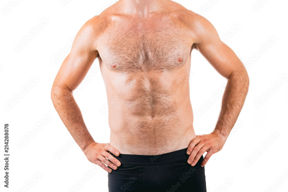 Muscular hairy male chest isolated on white background.