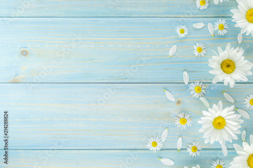 White daisies and garden flowers on a light blue worn wooden table. The flowers are arranged side, empty space left on the other side.