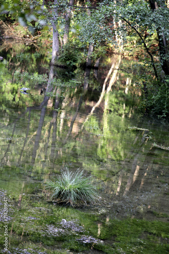 Quellegebiet der Alme bei Brilon photo