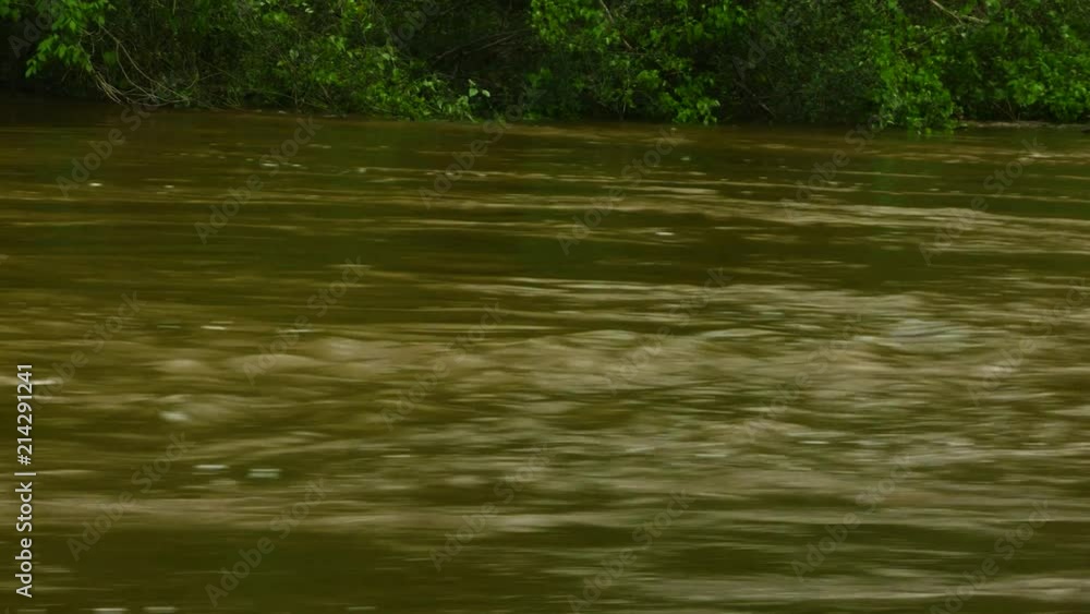 River in Clarke County with high water levels. River in Clarke County with high water levels.