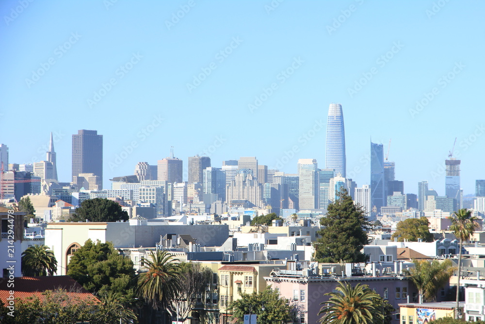 Obraz premium View of San Francisco’s Skyline from Mission Dolores Park