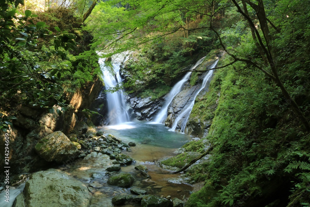高千穂の竜ヶ岩の滝（Tatugaoka no taki）