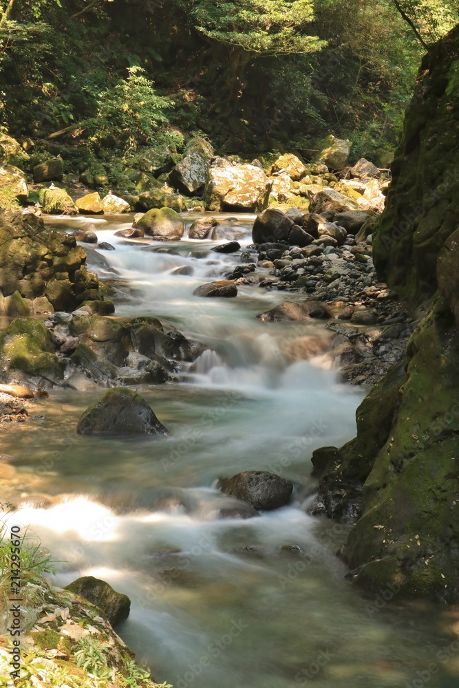 Obraz premium 清流が流れる高千穂峡の風景