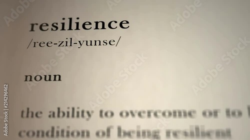 Resilience Definition