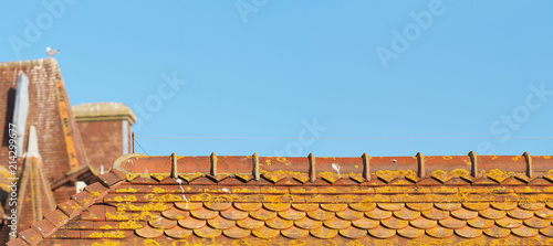 Traditional old ancient tiled roof made of red clay, terracotta. Panoramic view. Normandy, France, old houses in bright sunlight