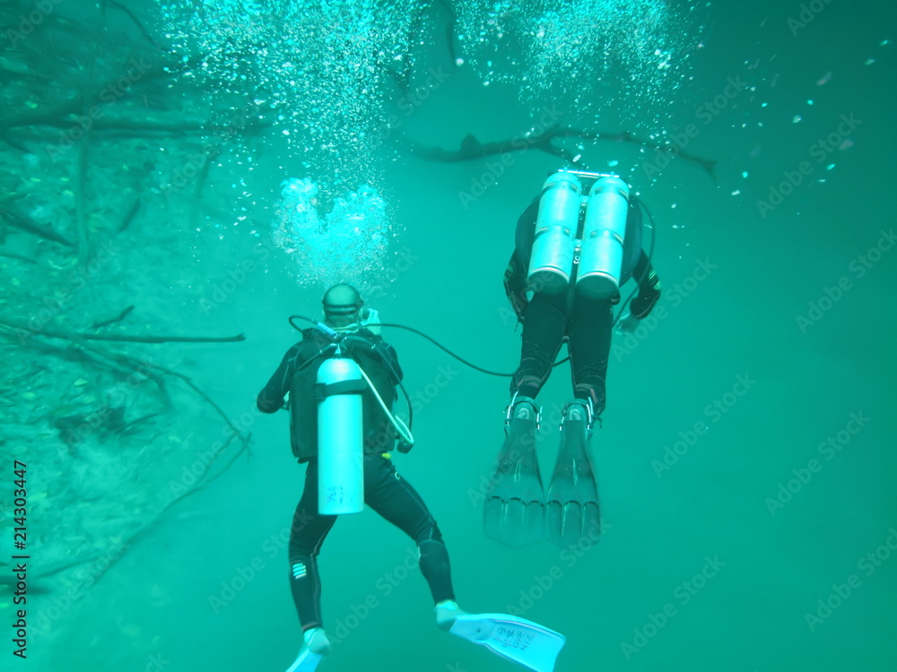 Fototapeta premium dobles