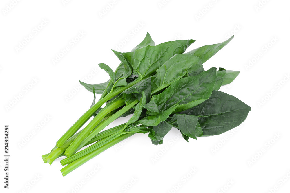 green spinach isolated on white background green spinach isolated on white background