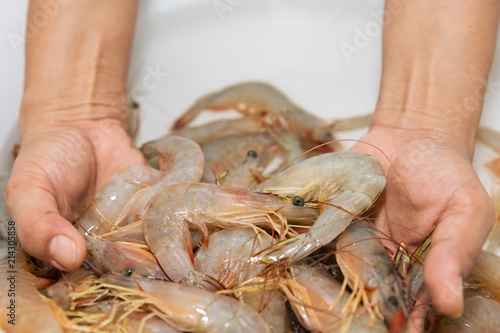 Many fresh shrimps are in the container.