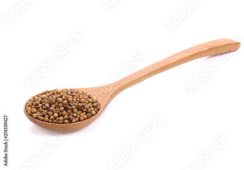 Coriander seeds in wooden spoon isolated on white background.