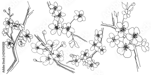 Sakura in a vector style isolated. Full name of the plant: sakura. Vector flower for background, texture, wrapper pattern, frame or border.