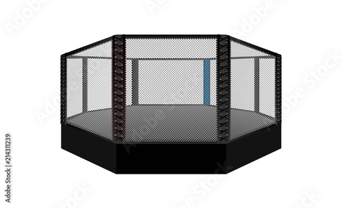 Boxing ring arena vector design. MMA octagon ring. Vector illumination