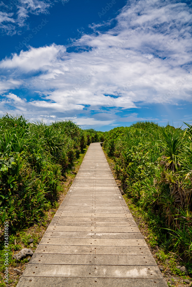 Hiking path on a tropical island in Sanxiantai, Taidong, Taiwan