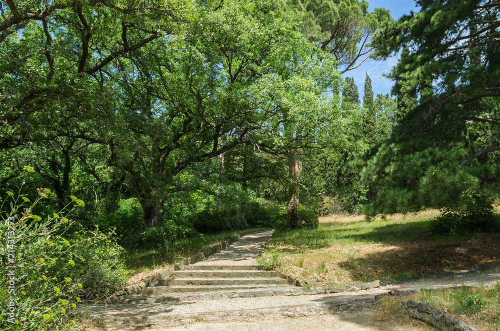 Russia, the Republic of Crimea, the city of Alupka. 06/09/2018: Vorontsov Park, walking track Russia, the Republic of Crimea, the city of Alupka. 06/09/2018: Vorontsov Park, walking track