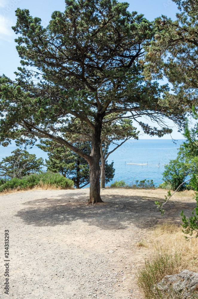 Russia, the Republic of Crimea, the city of Alupka. 06/09/2018: View of the sea from the Vorontsov park Russia, the Republic of Crimea, the city of Alupka. 06/09/2018: View of the sea from the Vorontsov park