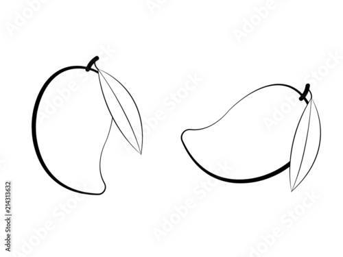 Black and white mango with leaf on white page vector illustration