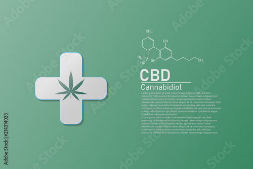 molecular structure medical  chemistry formula cannabis of the formula CBD,vector illustration