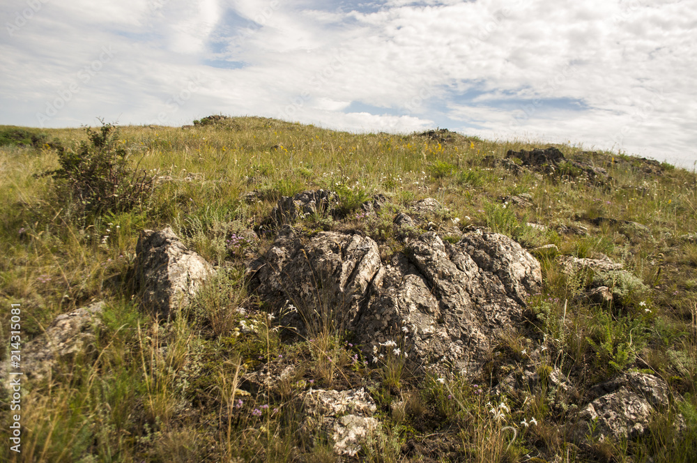 Landscape with stones in the field