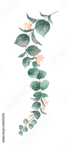 Watercolor vector hand painted silver dollar eucalyptus leaves and pink flowers Fototapeta