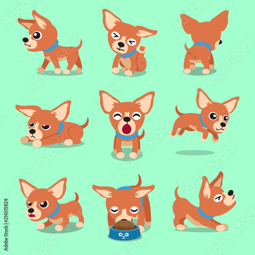 Vector cartoon character brown chihuahua dog poses