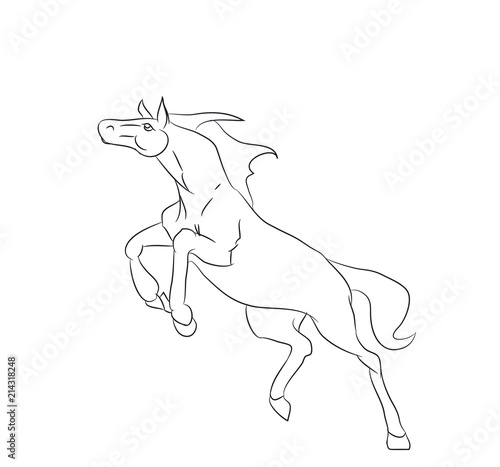 horse running  lines  vector