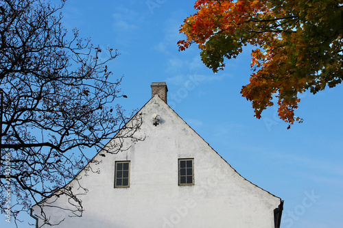 White church rooftop between trees