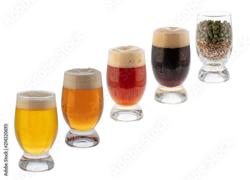 Glasses With Beer, Malt And Hop
