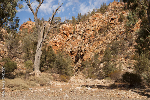 Brachina Gorge South Australia  dry riverbed with red hills of vertically layered rock