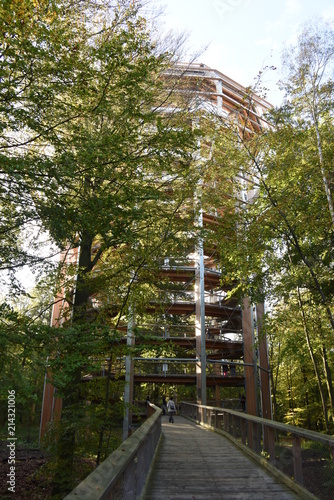 Insel Rügen, Naturerbezentrum mit Baumwipfelpfad photo