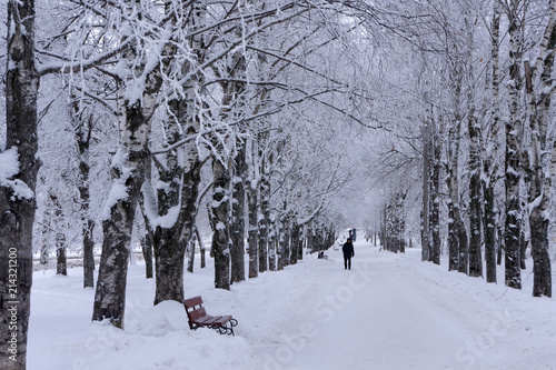 Winter footpath freeze frosty lane natural rural seasona . © baon