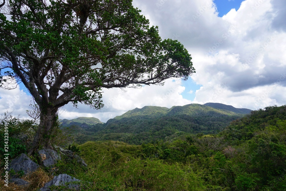 Obraz premium Aussicht von einem Berg im Topes de Collabntes auf Kuba